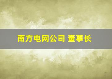 南方电网公司 董事长